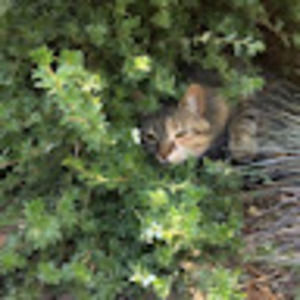 Meet your Posher, Leah